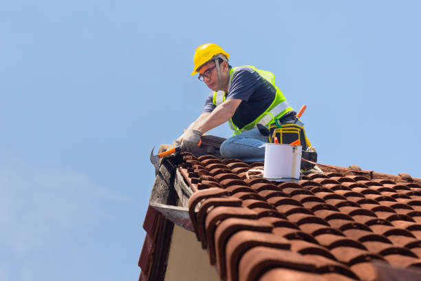 Best Roof Leak Repair  in Bar Nunn, WY